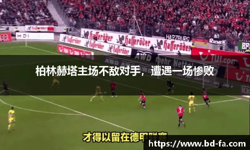 江南app.体育