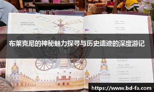 N江南.体育